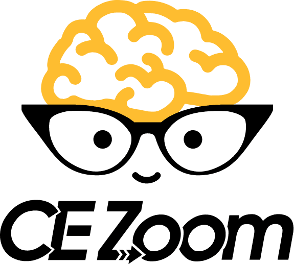 Multi-Company Access